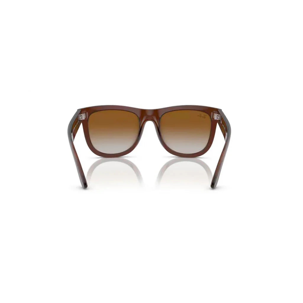 6709CB - TRANSPARENT MARRON