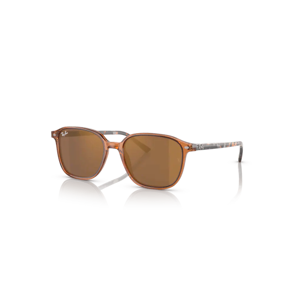 663693 - TRANSPARENT MARRON