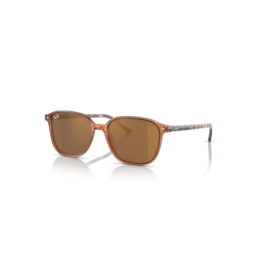 663693 - TRANSPARENT MARRON