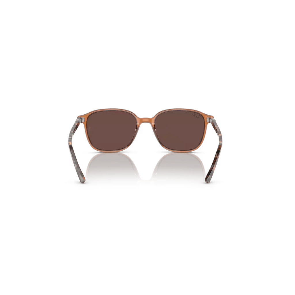 663693 - TRANSPARENT MARRON